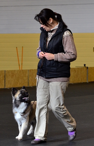 Katja viser attitude træning med Kathas Krumme.